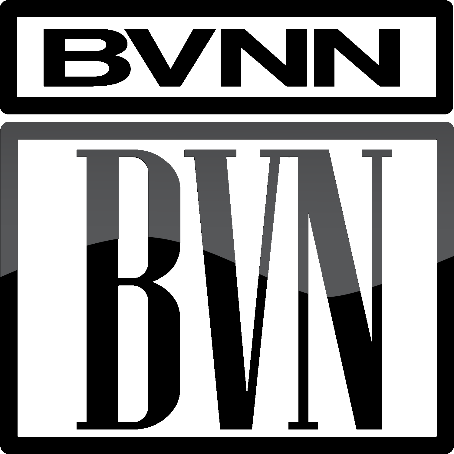 Black Video News logo